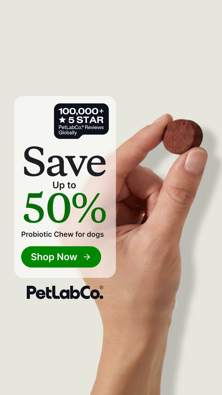 PetLab Co. · Offer-First Banner ad