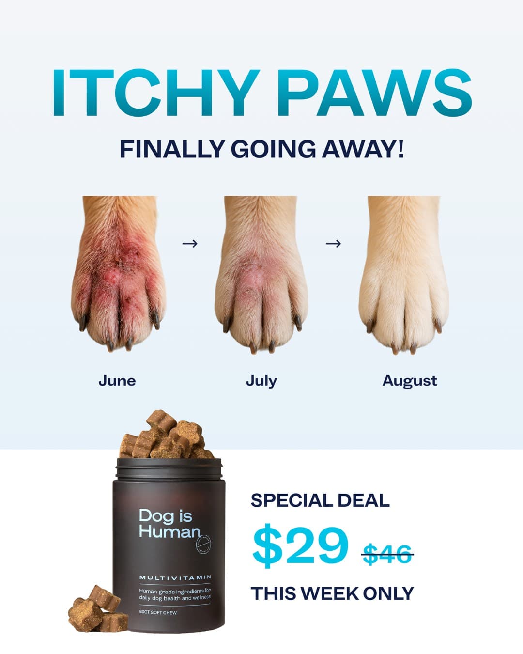 Dog is Human · Before and After ad