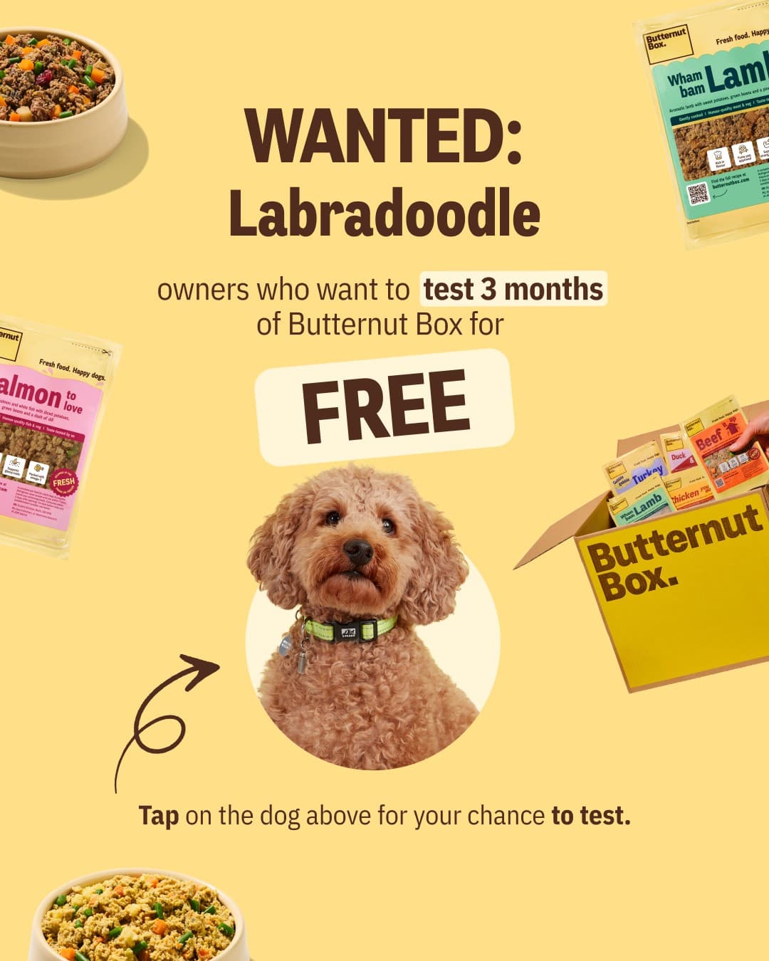 Butternut Box · Offer-First Banner ad