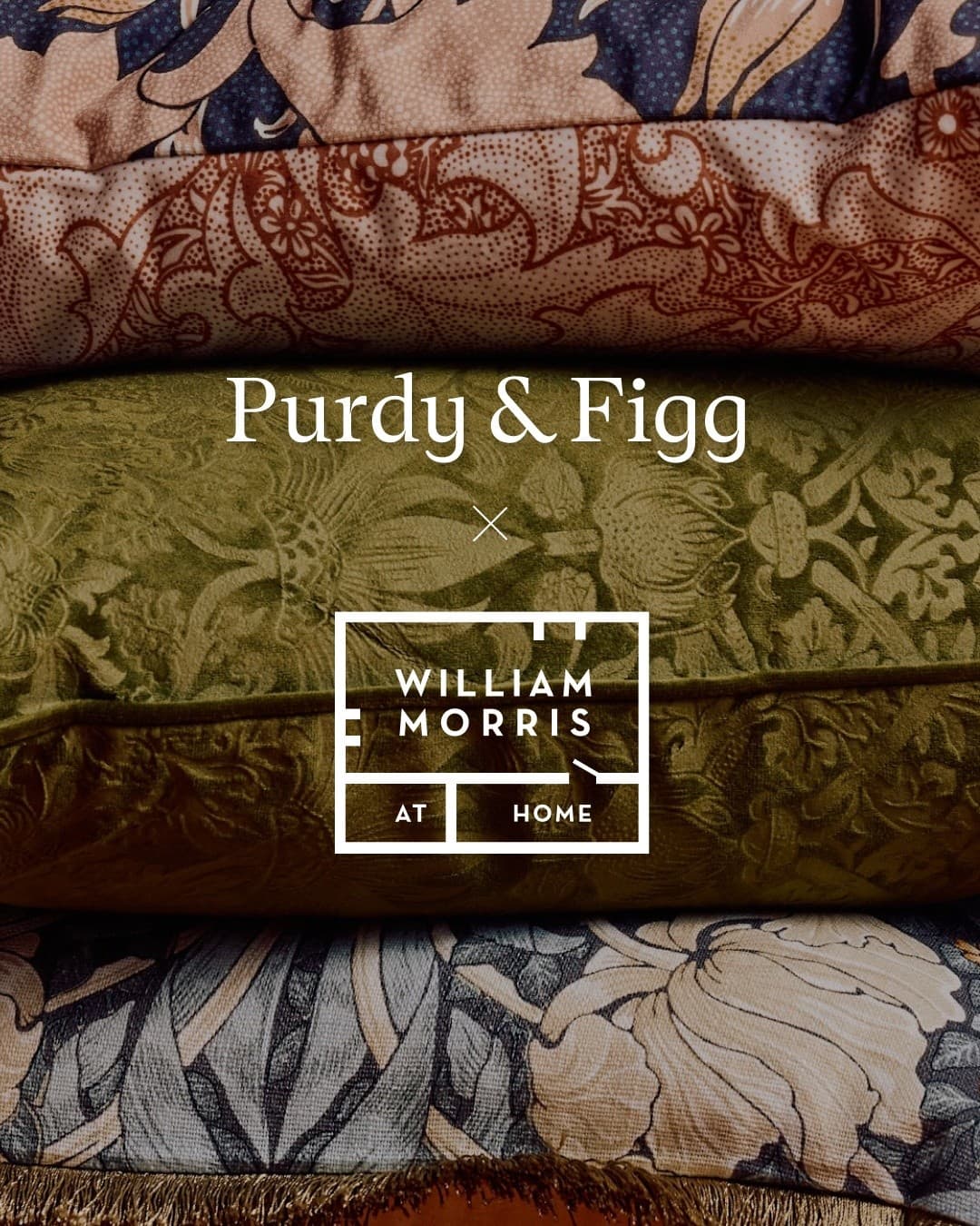 Purdy & Figg · Editorial ad