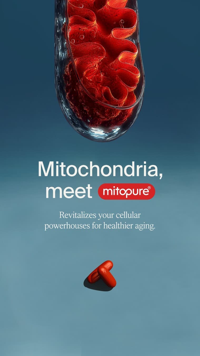 Timeline Longevity · Product Image ad