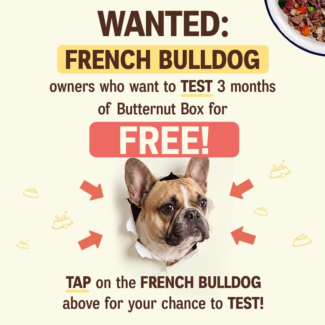 Butternut Box · Offer-First Banner ad