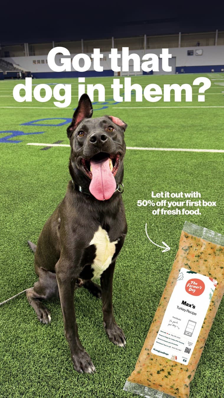 The Farmer's Dog · Offer-First Banner ad
