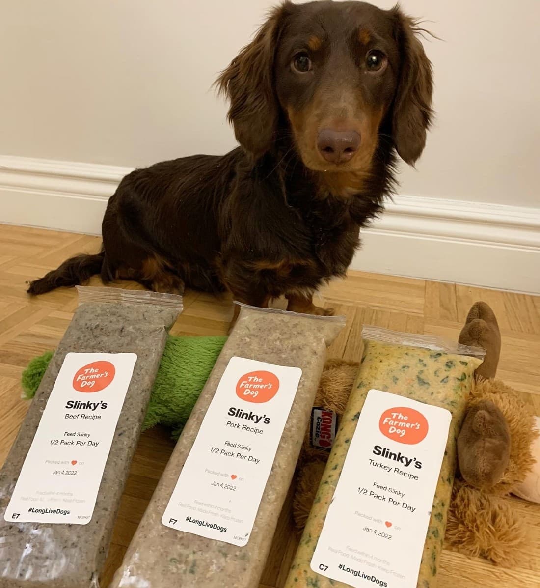 The Farmer's Dog · Lifestyle Image ad