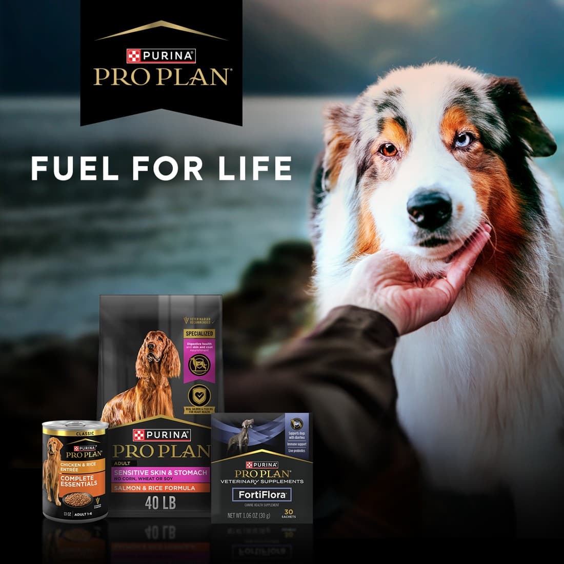 Chewy · Collage ad