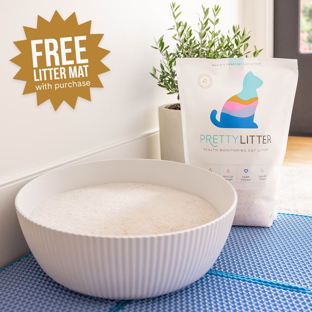 PrettyLitter · Offer-First Banner ad