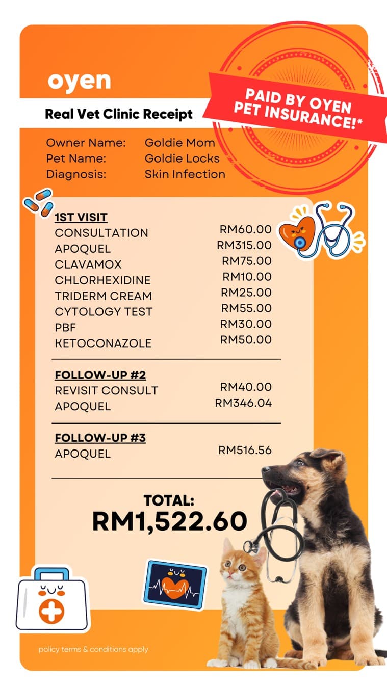 Oyen Pet Insurance & Takaful Kucing · Document Mockup ad