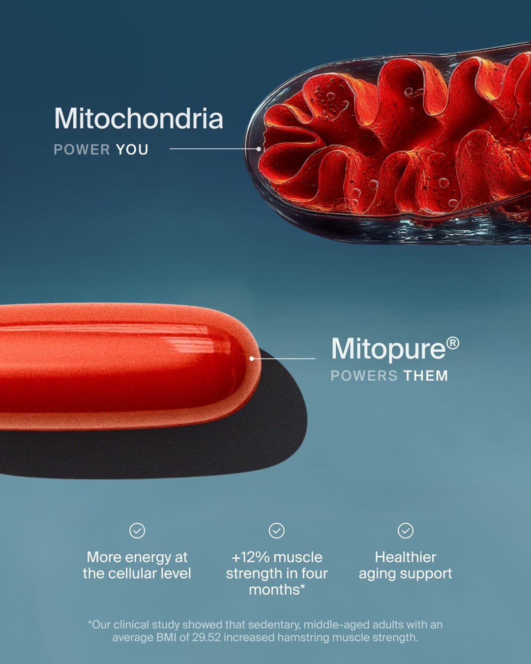 Timeline Longevity · Feature Benefit Pointout ad