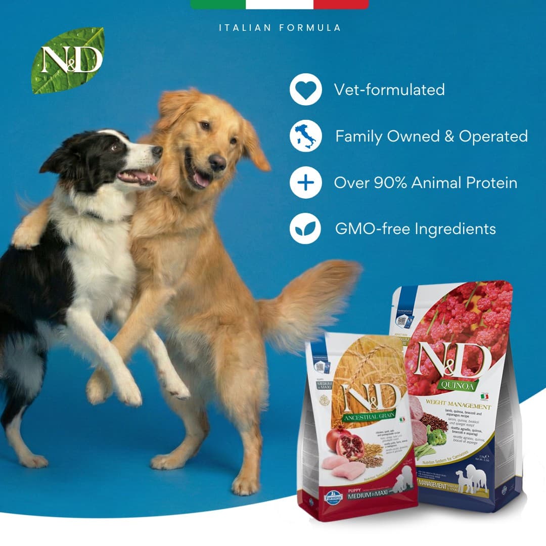 Chewy · Collage ad