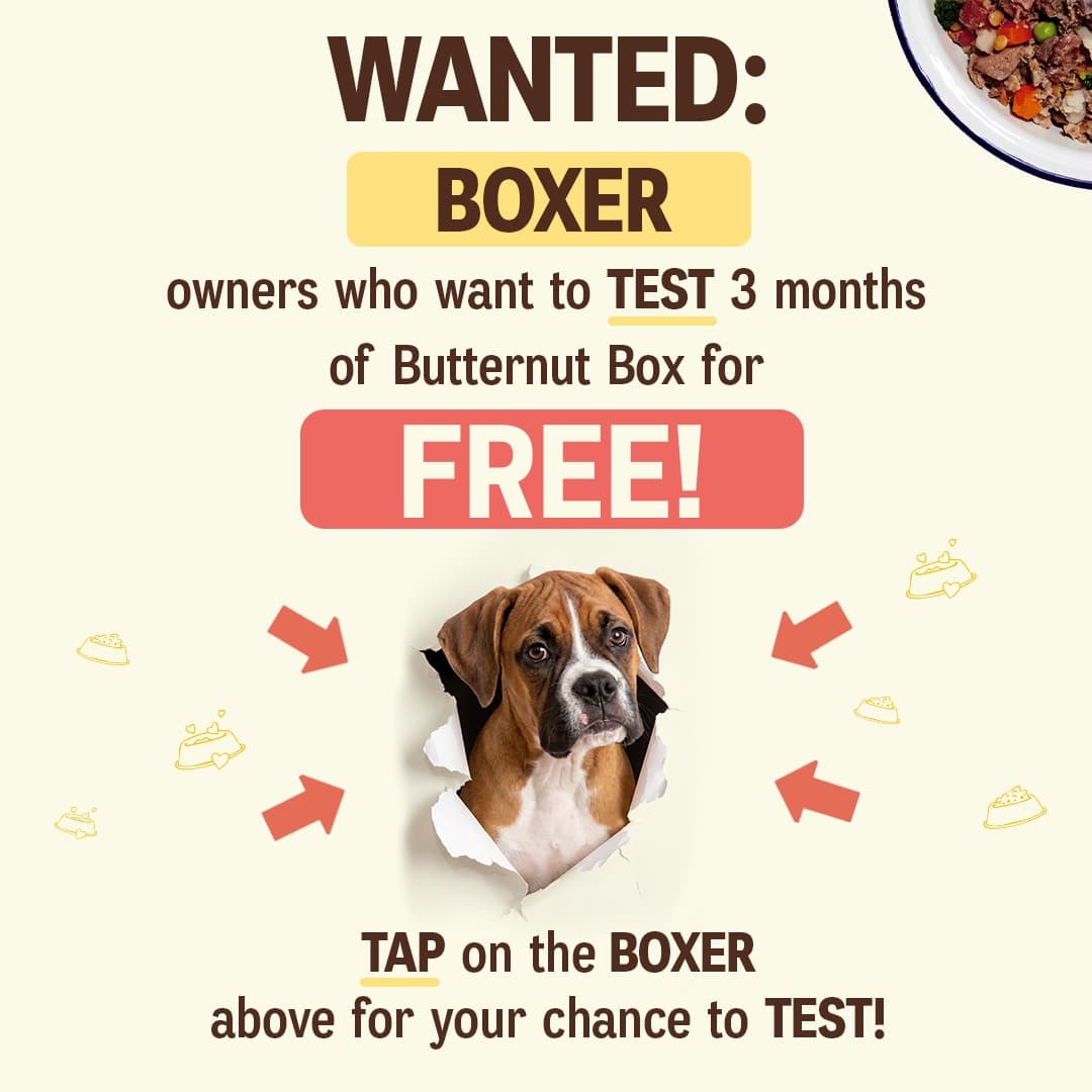 Butternut Box · Offer-First Banner ad