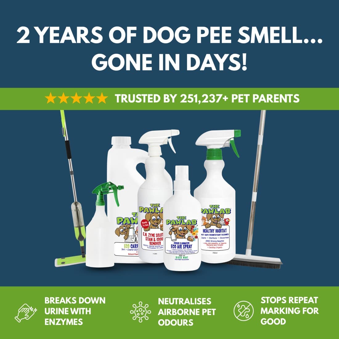 Pawlab · Product Image ad