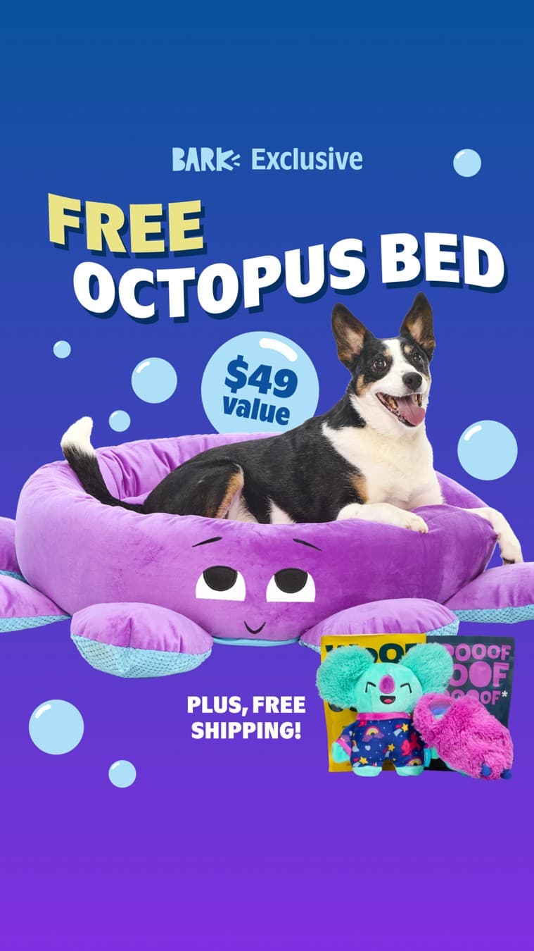 BarkBox · Offer-First Banner ad
