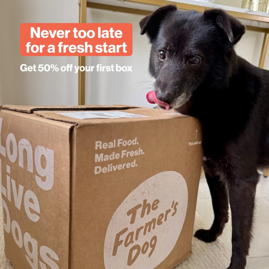The Farmer's Dog · Offer-First Banner ad
