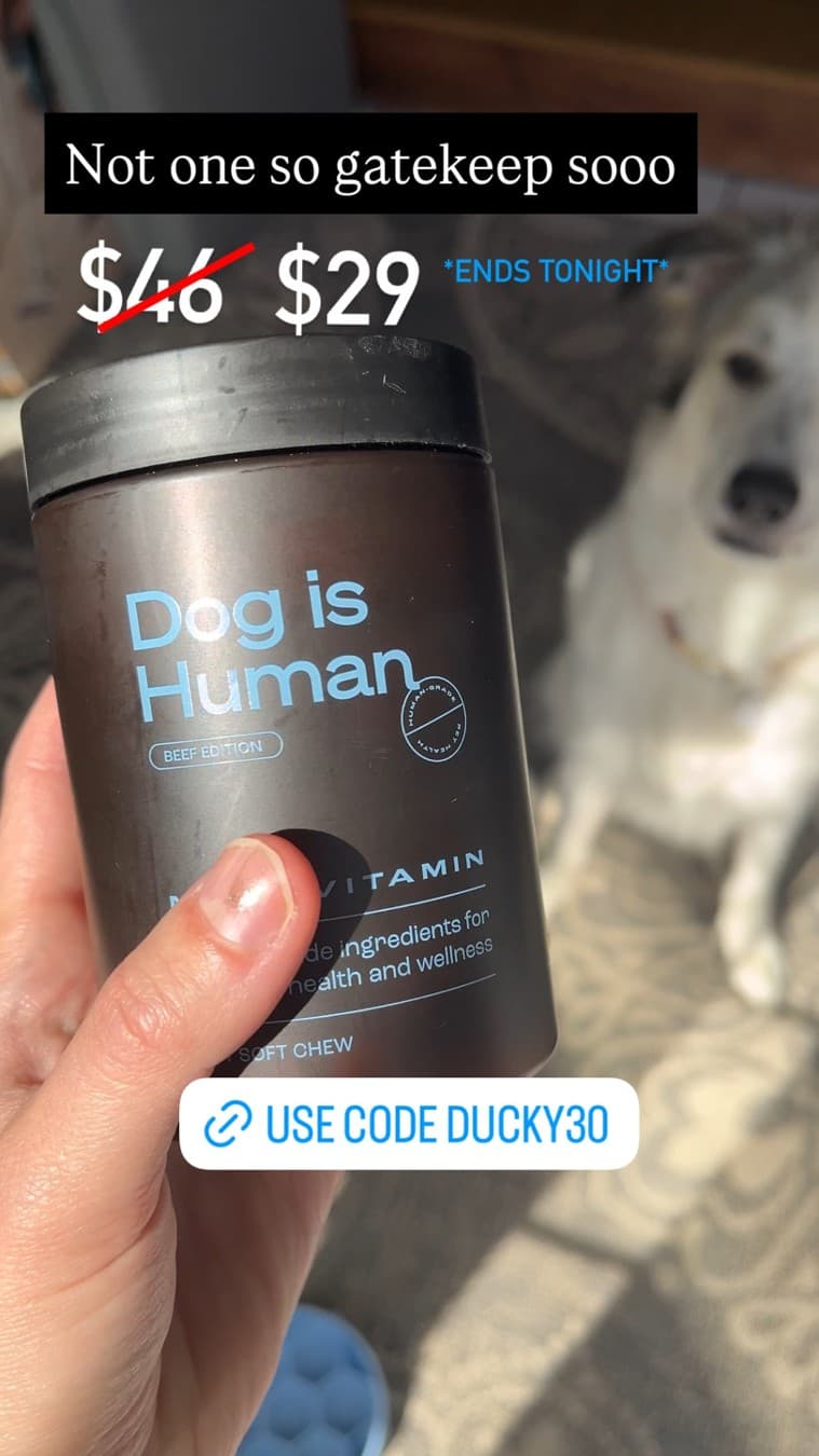 Dog is Human · UGC Overlay ad