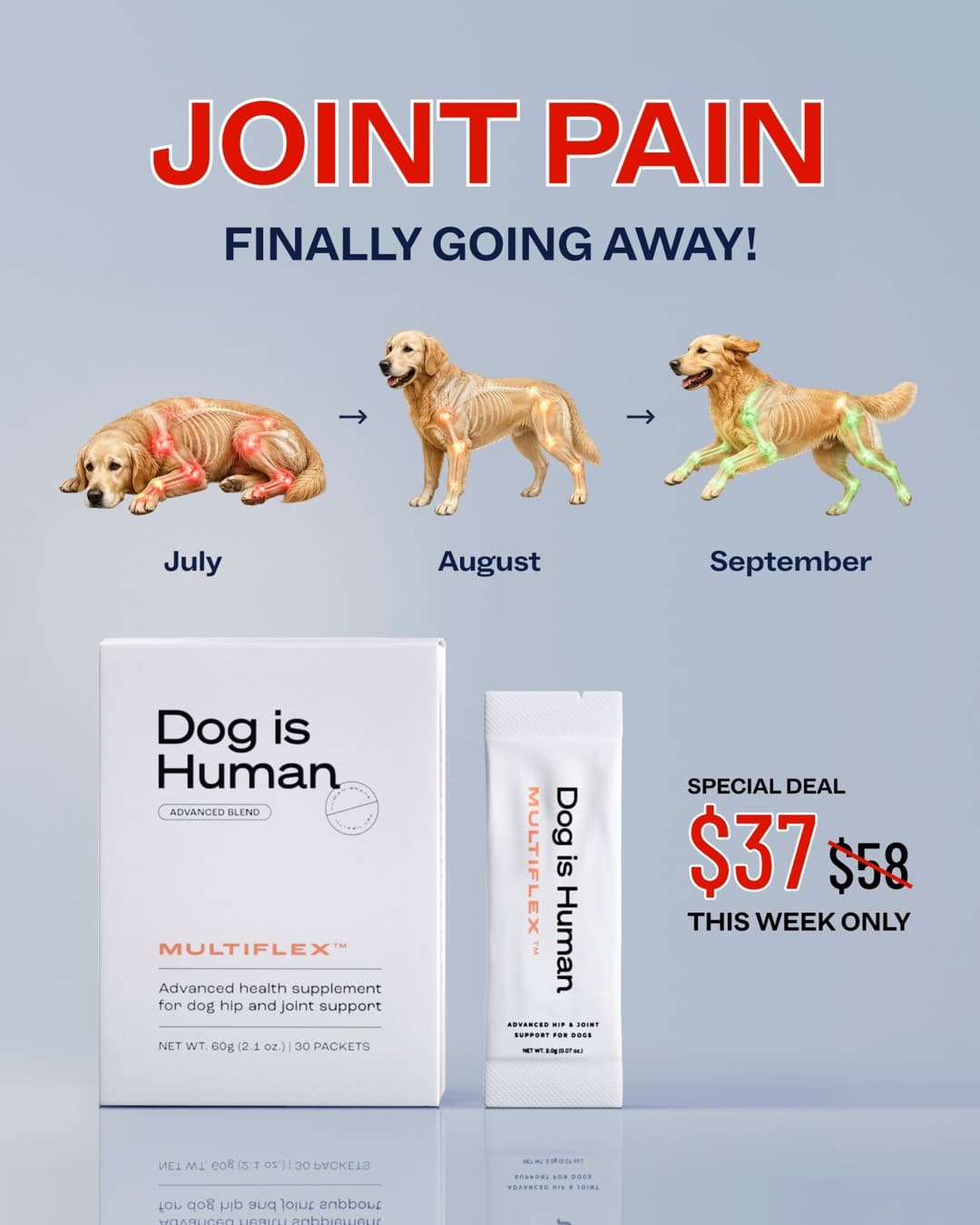 Dog is Human · Before and After ad