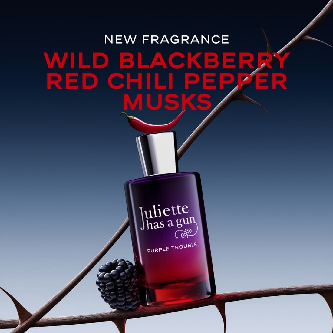 Juliette has a Gun (Official page) · Product Image ad