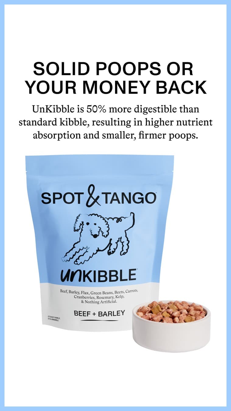 Spot and Tango · Product Image ad