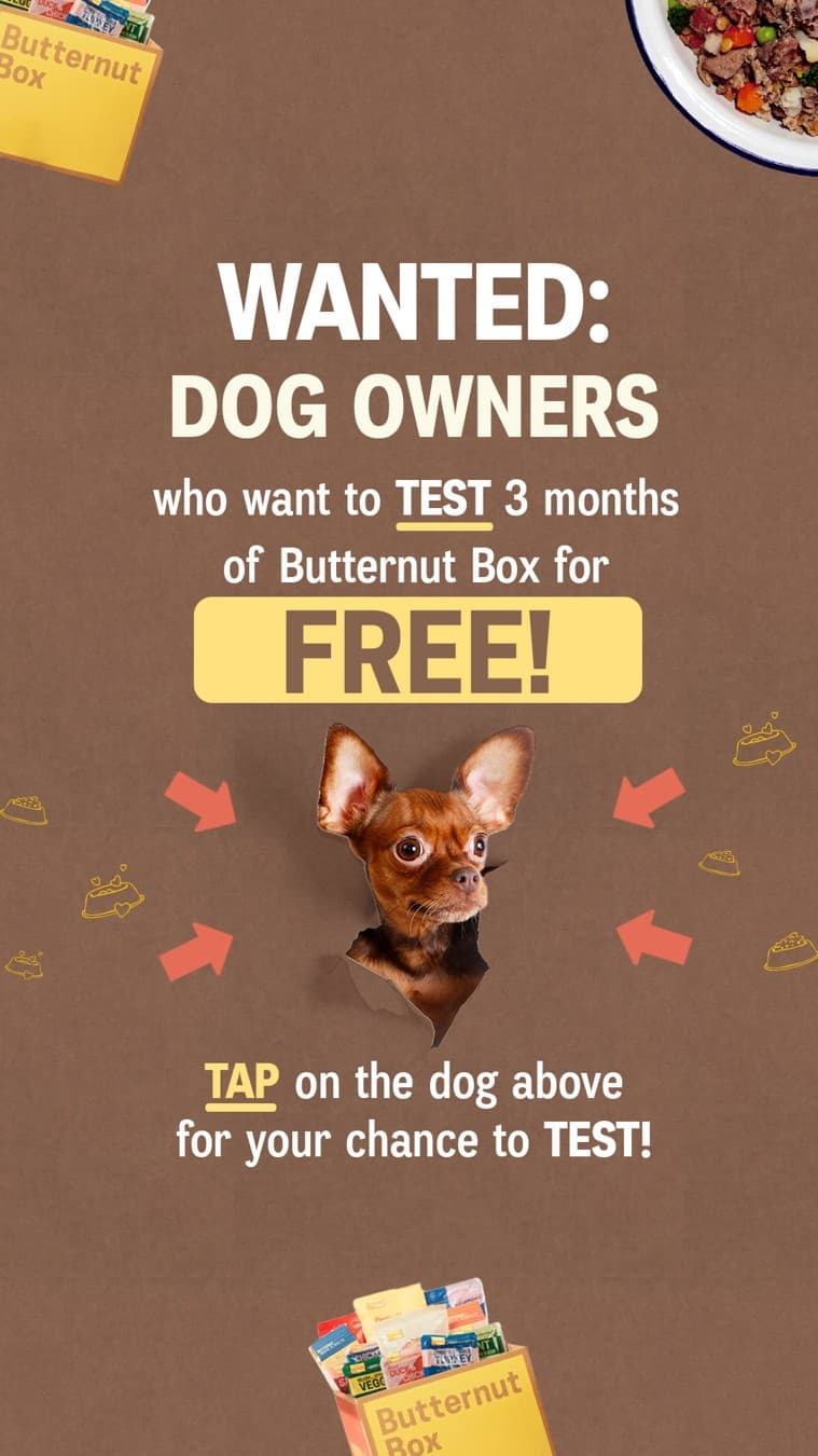Butternut Box · Offer-First Banner ad