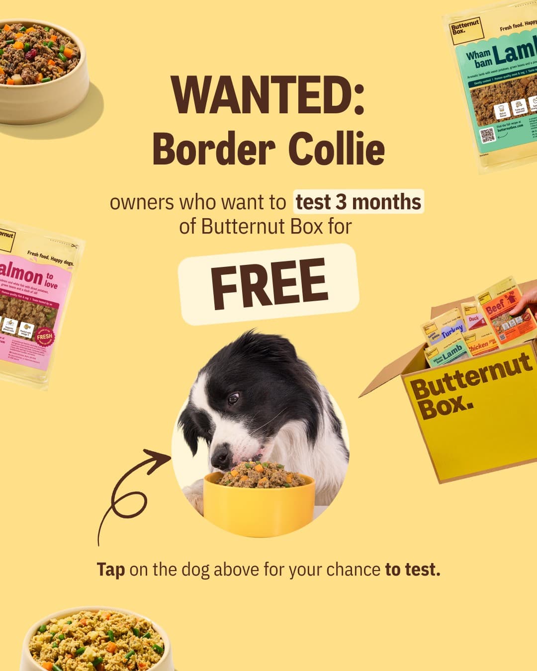 Butternut Box · Offer-First Banner ad