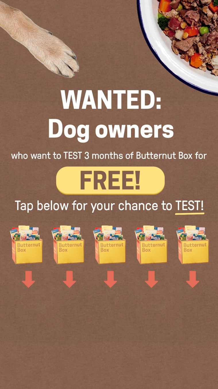 Butternut Box · Offer-First Banner ad