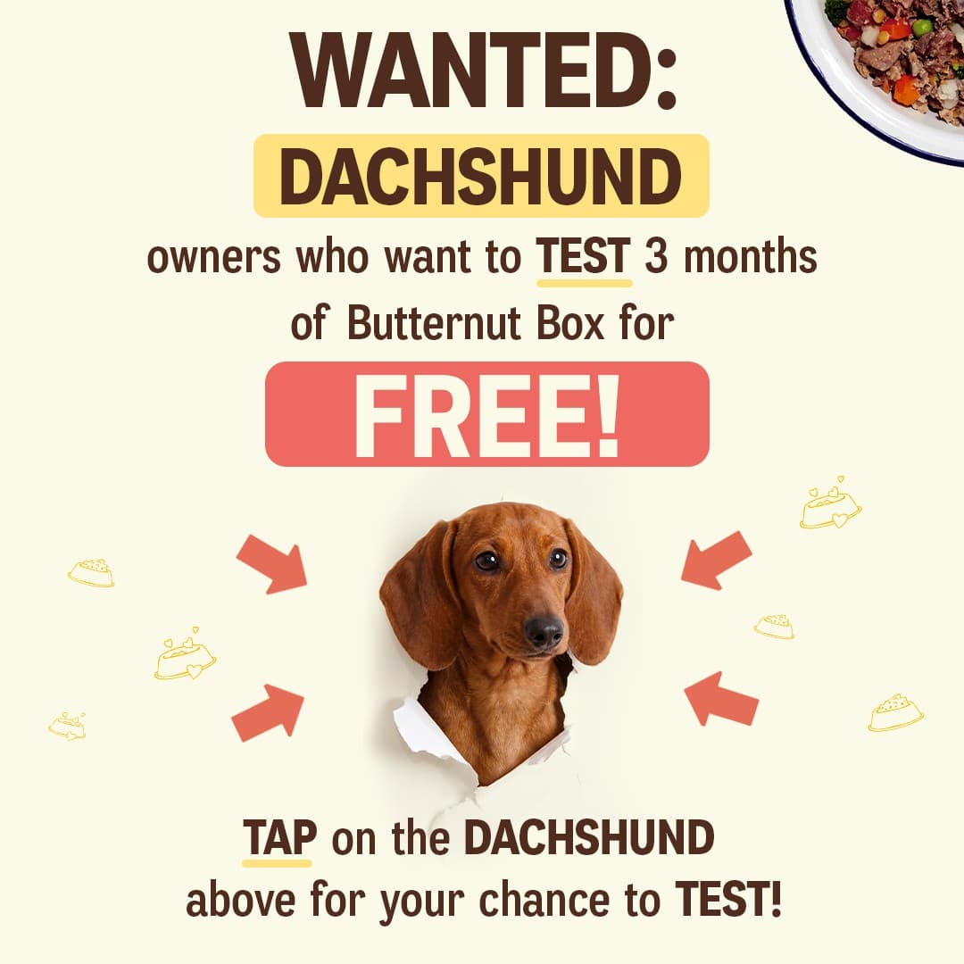 Butternut Box · Offer-First Banner ad
