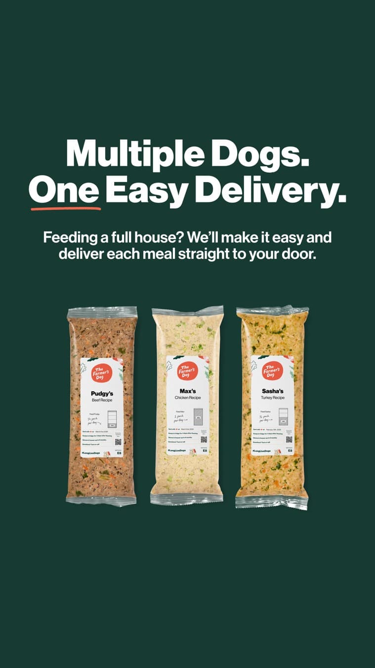 The Farmer's Dog · Product Image ad