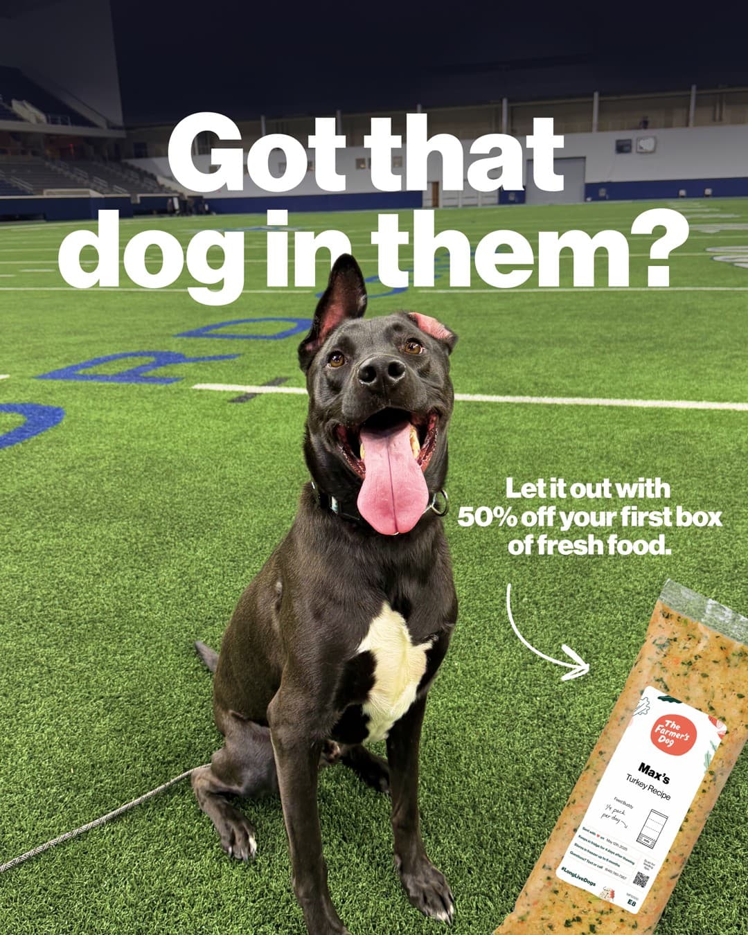 The Farmer's Dog · Offer-First Banner ad