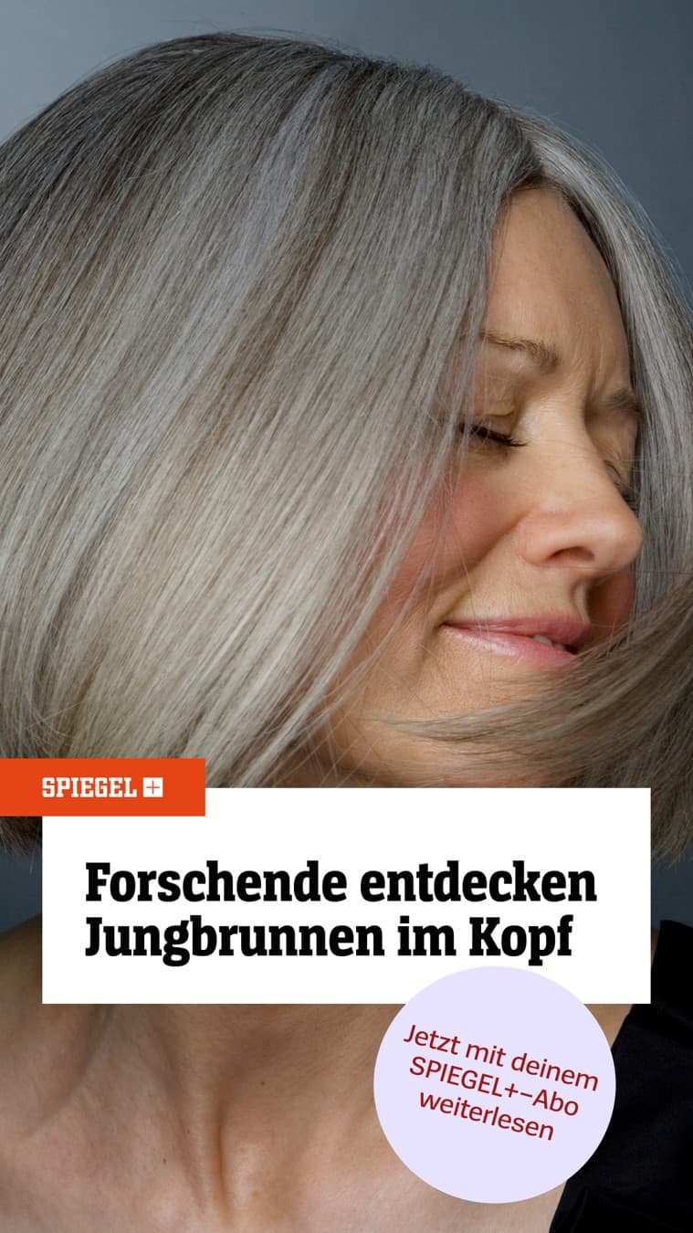 DER SPIEGEL · Editorial ad