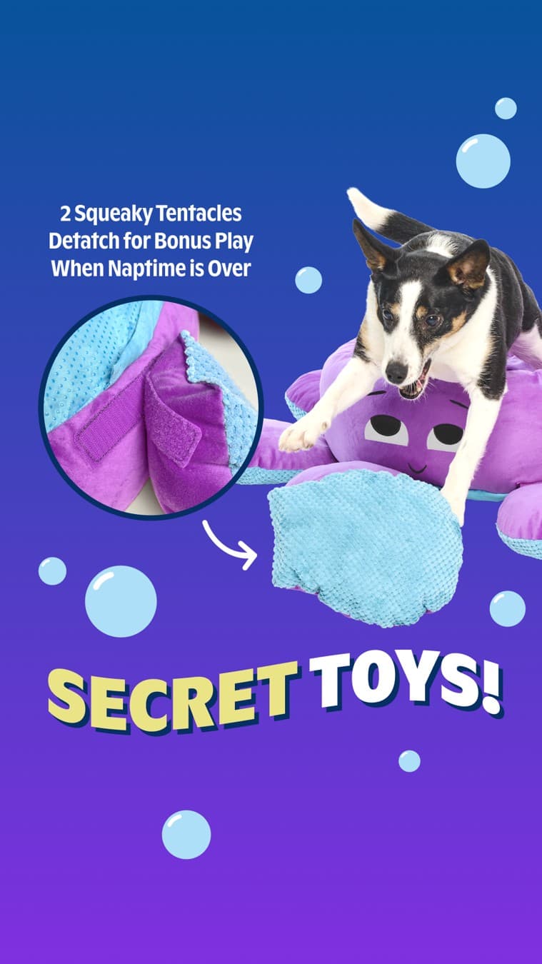 BarkBox · Feature Benefit Pointout ad