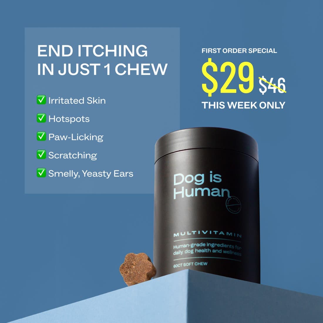 Dog is Human · Offer-First Banner ad