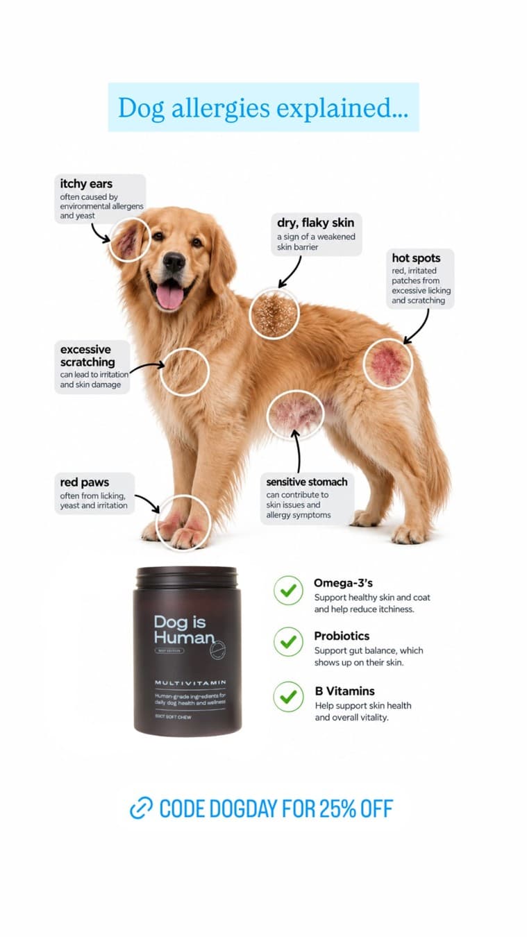 Dog is Human · Feature Benefit Pointout ad
