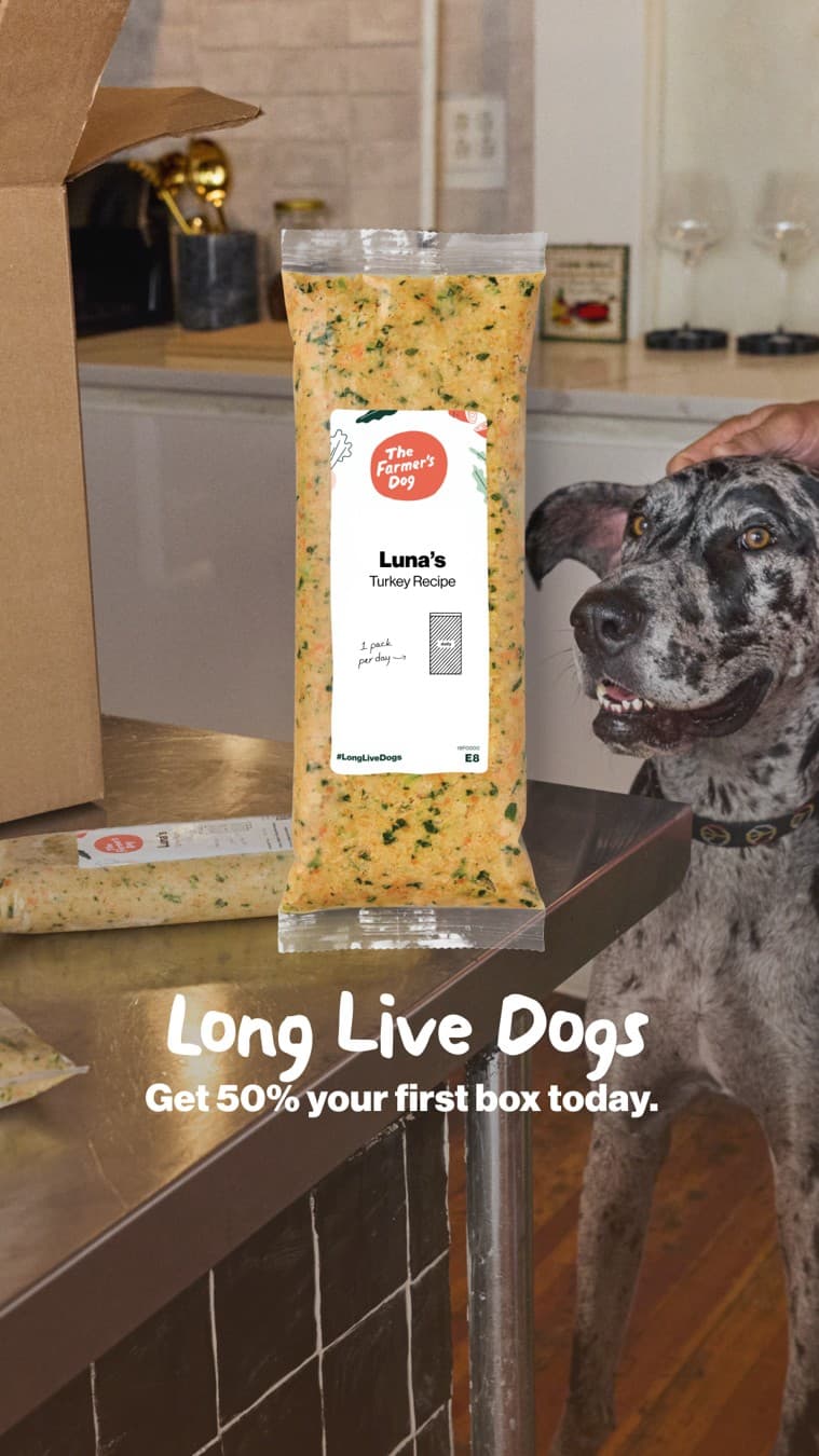 The Farmer's Dog · Lifestyle Image ad