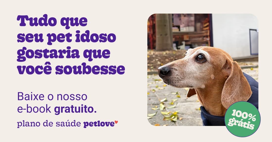 Petlove · Product Image ad