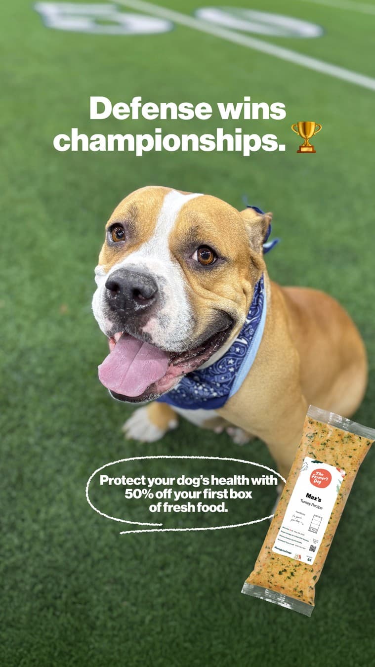 The Farmer's Dog · UGC Overlay ad