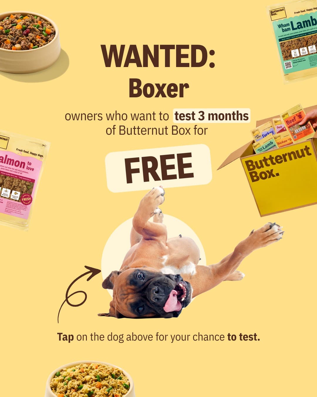 Butternut Box · Collage ad