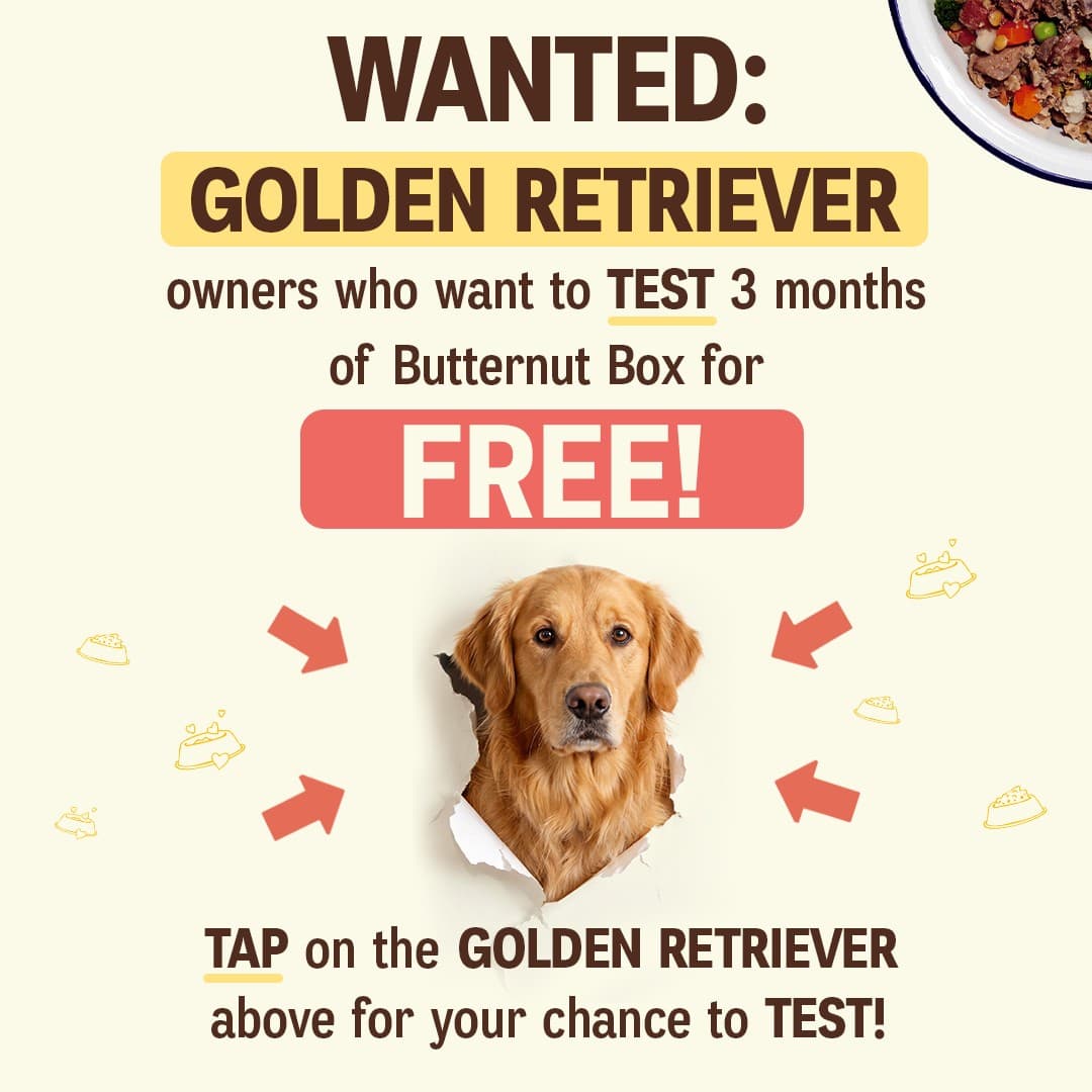 Butternut Box · Offer-First Banner ad