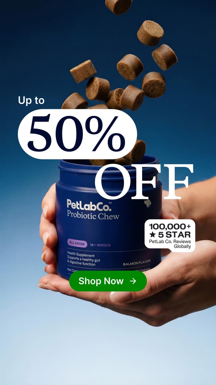 PetLab Co. · Offer-First Banner ad