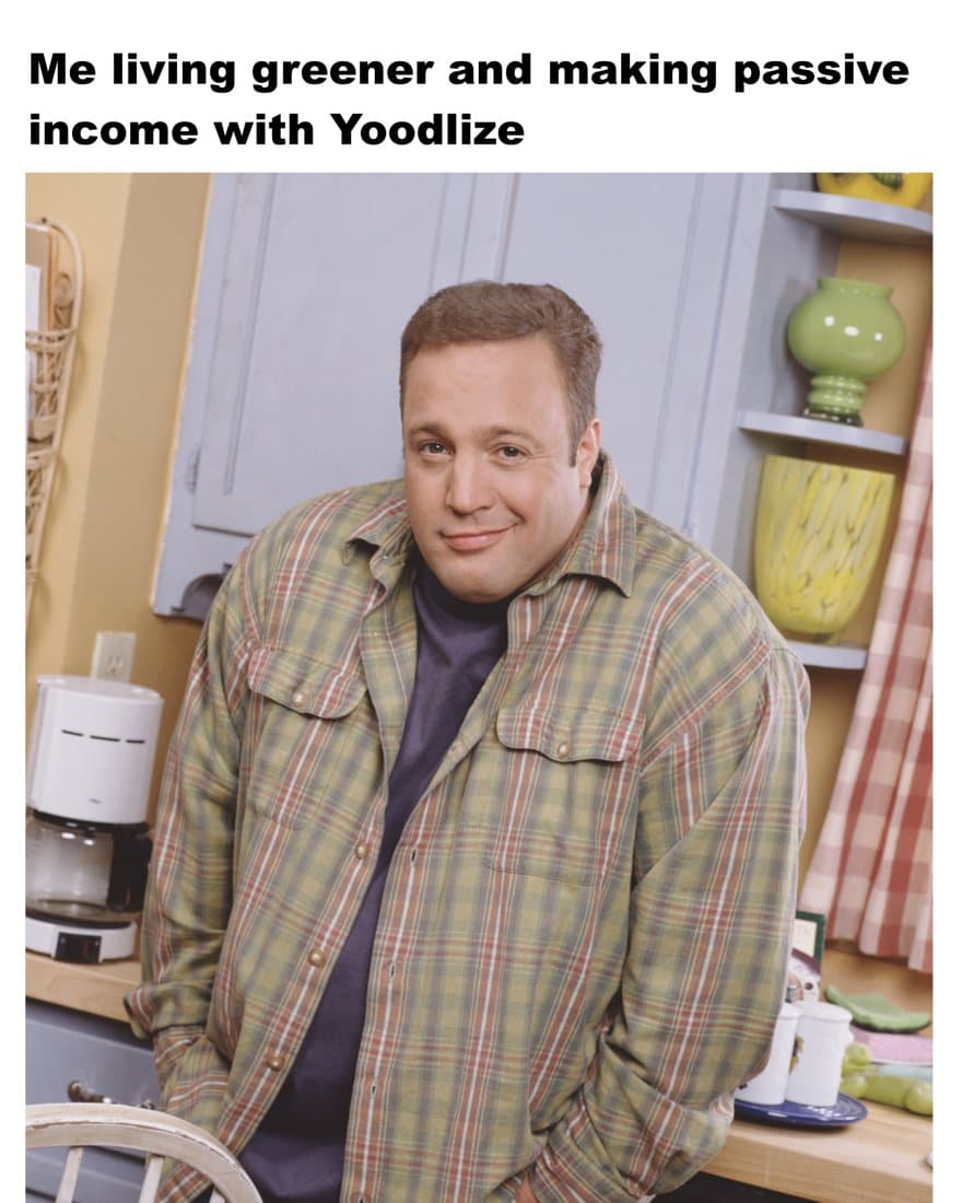 yoodlizeinc · Meme ad