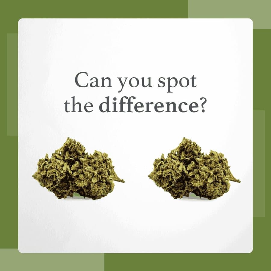 LGCAManitoba · Us vs. Them ad