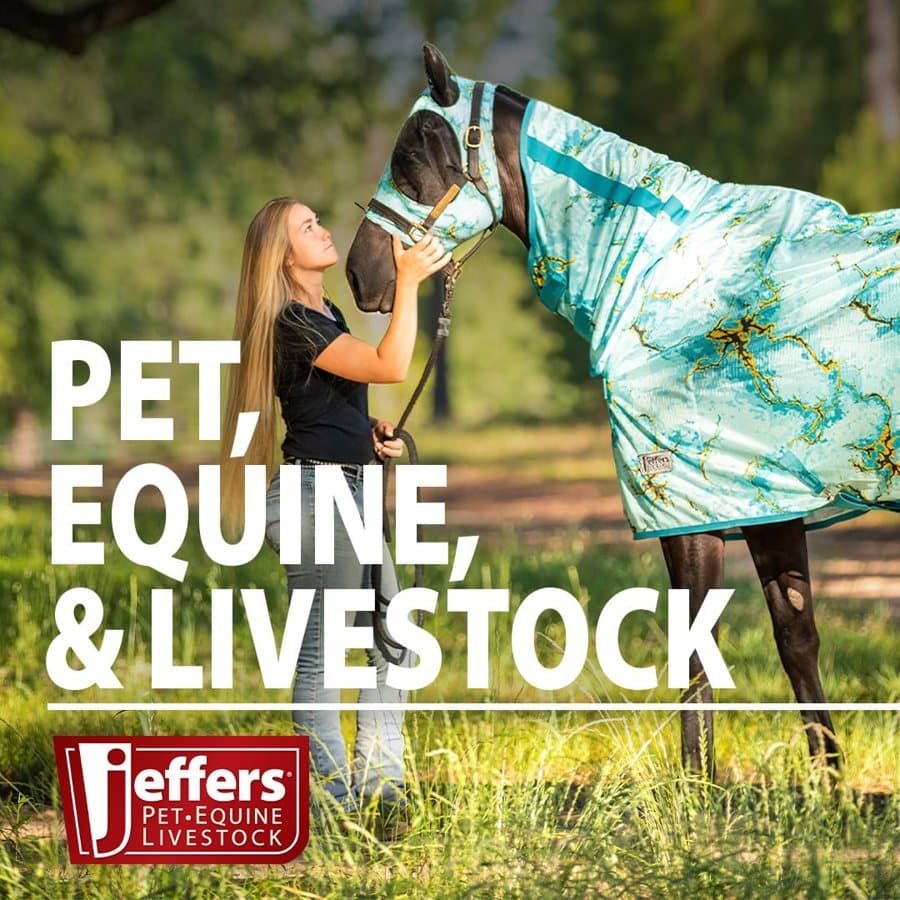 JeffersPet · Lifestyle Image ad