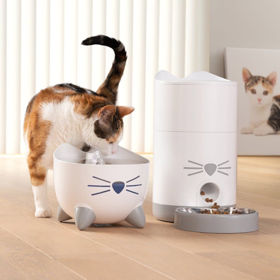 CatitUSA · Lifestyle Image ad